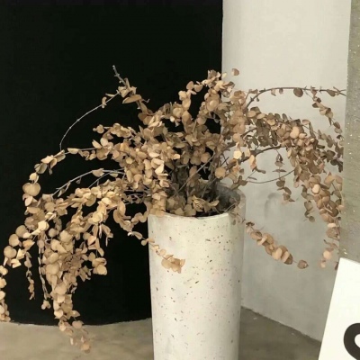 Furry创作脑洞合集福瑞交流群